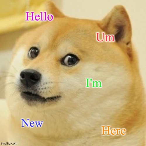 . |  Hello; Um; I'm; New; Here | image tagged in memes,doge | made w/ Imgflip meme maker