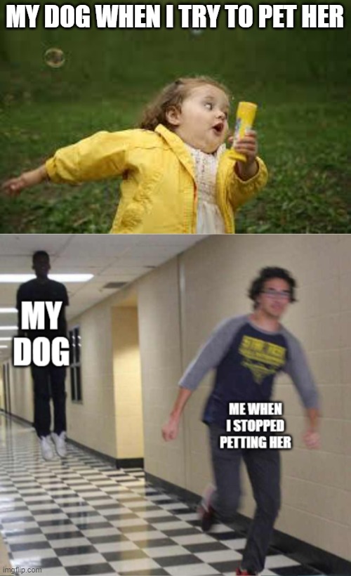 The truth |  MY DOG WHEN I TRY TO PET HER | image tagged in fat girl running,floating boy chasing running boy | made w/ Imgflip meme maker