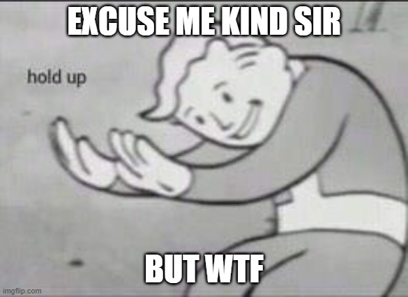 Fallout Hold Up | EXCUSE ME KIND SIR BUT WTF | image tagged in fallout hold up | made w/ Imgflip meme maker