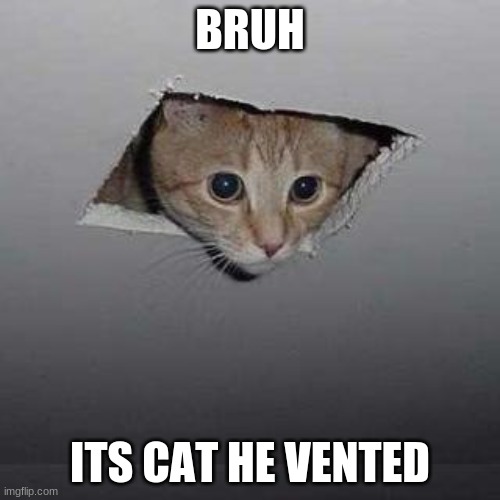 ITS CAT!1!1!1 | BRUH; ITS CAT HE VENTED | image tagged in memes,ceiling cat,he vented | made w/ Imgflip meme maker