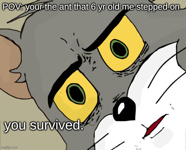 Unsettled Tom | POV: your the ant that 6 yr old me stepped on; you survived. | image tagged in memes,unsettled tom | made w/ Imgflip meme maker
