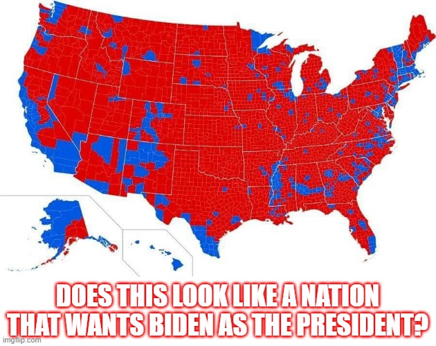 2020 Election | DOES THIS LOOK LIKE A NATION THAT WANTS BIDEN AS THE PRESIDENT? | image tagged in donald trump,joe biden,election 2020 | made w/ Imgflip meme maker