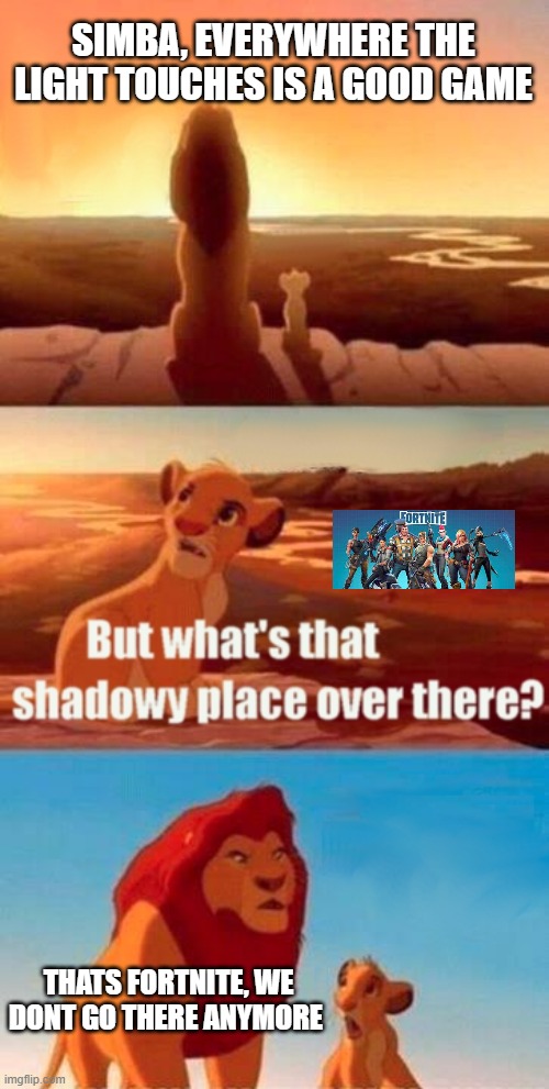 Simba Shadowy Place Meme | SIMBA, EVERYWHERE THE LIGHT TOUCHES IS A GOOD GAME; THATS FORTNITE, WE DONT GO THERE ANYMORE | image tagged in memes,simba shadowy place | made w/ Imgflip meme maker