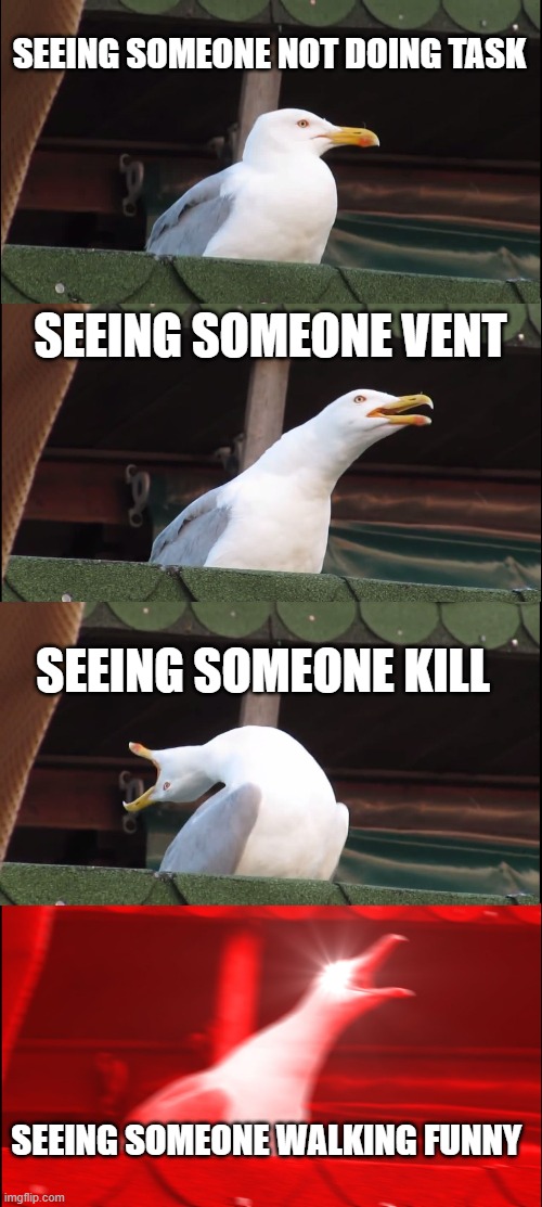Inhaling Seagull Meme | SEEING SOMEONE NOT DOING TASK; SEEING SOMEONE VENT; SEEING SOMEONE KILL; SEEING SOMEONE WALKING FUNNY | image tagged in memes,inhaling seagull | made w/ Imgflip meme maker