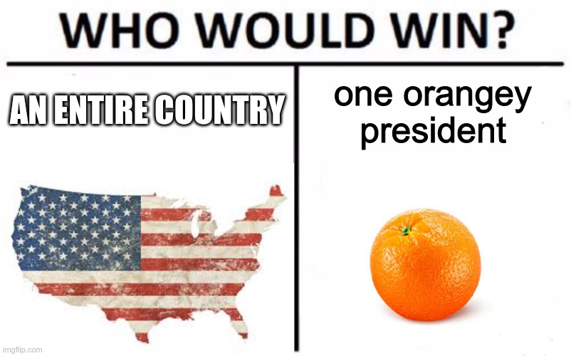 orange | AN ENTIRE COUNTRY; one orangey president | image tagged in lol,funny memes | made w/ Imgflip meme maker