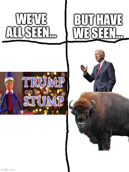 Biden on a bison am I right? | BUT HAVE WE SEEN... WE'VE ALL SEEN... | image tagged in blank white template | made w/ Imgflip meme maker