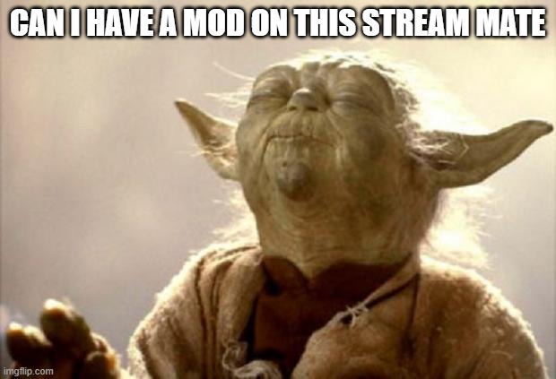 yoda smell | CAN I HAVE A MOD ON THIS STREAM MATE | image tagged in yoda smell | made w/ Imgflip meme maker