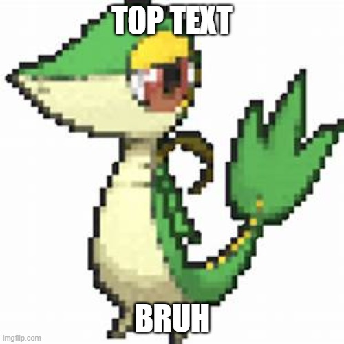 Seriously Face Snivy | TOP TEXT; BRUH | image tagged in seriously face snivy | made w/ Imgflip meme maker