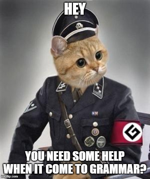 Grammar Nazi Cat | HEY YOU NEED SOME HELP WHEN IT COME TO GRAMMAR? | image tagged in grammar nazi cat | made w/ Imgflip meme maker