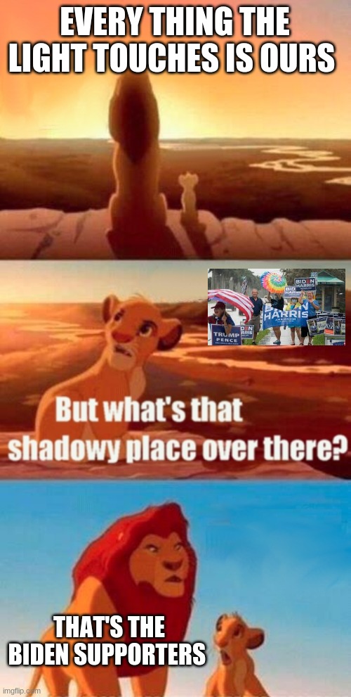 Simba Shadowy Place | EVERY THING THE LIGHT TOUCHES IS OURS; THAT'S THE BIDEN SUPPORTERS | image tagged in memes,simba shadowy place | made w/ Imgflip meme maker