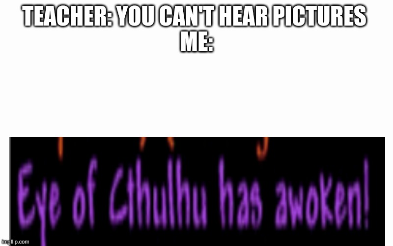 you can't hear pictures | TEACHER: YOU CAN'T HEAR PICTURES 
ME: | image tagged in blank screen,terraria,you cant hear picturs | made w/ Imgflip meme maker