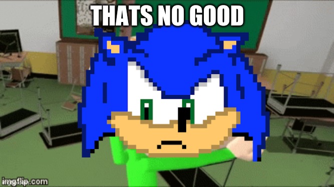 sonic baldi |  THATS NO GOOD | image tagged in sonic the hedgehog | made w/ Imgflip meme maker
