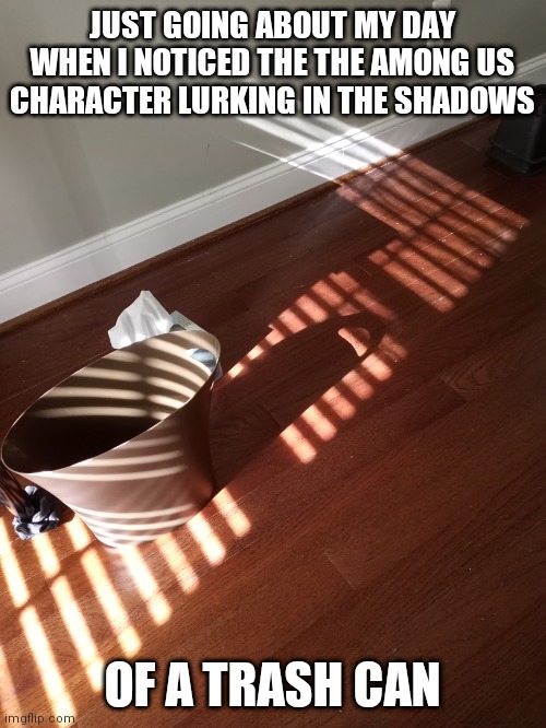 among us meme | JUST GOING ABOUT MY DAY WHEN I NOTICED THE THE AMONG US CHARACTER LURKING IN THE SHADOWS; OF A TRASH CAN | image tagged in funny,memes,among us,life,2020,funny memes | made w/ Imgflip meme maker