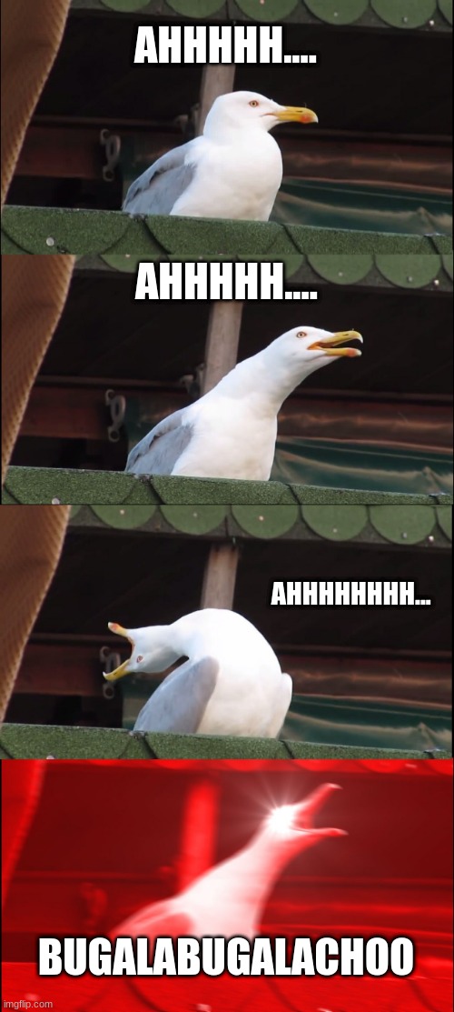 Inhaling Seagull | AHHHHH.... AHHHHH.... AHHHHHHHH... BUGALABUGALACHOO | image tagged in memes,inhaling seagull | made w/ Imgflip meme maker