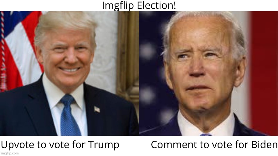 Imgflip election! | image tagged in election 2020 | made w/ Imgflip meme maker