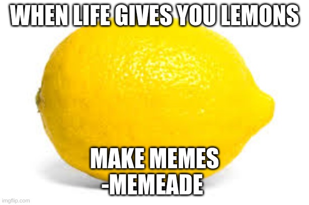 When life gives you lemons, X | WHEN LIFE GIVES YOU LEMONS; MAKE MEMES
-MEMEADE | image tagged in when life gives you lemons x | made w/ Imgflip meme maker