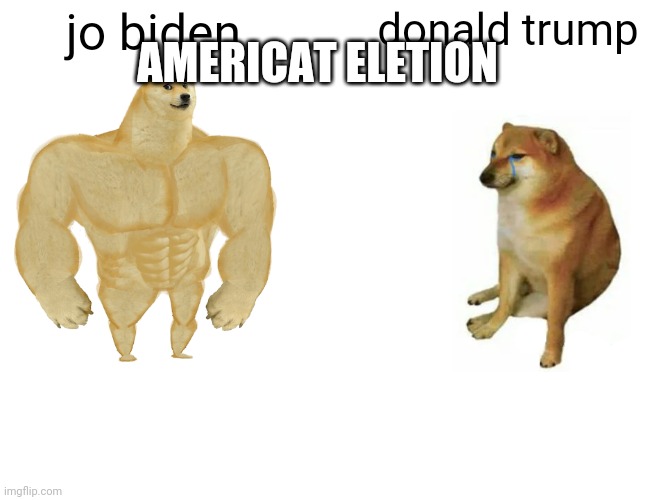 lol |  AMERICAT ELETION; jo biden; donald trump | image tagged in memes,buff doge vs cheems,election 2020 | made w/ Imgflip meme maker