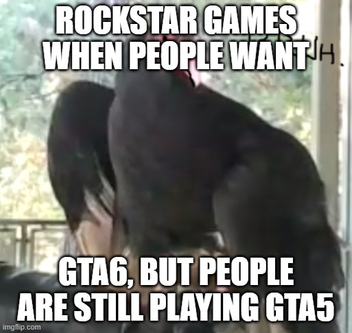 Bruh Vulture | ROCKSTAR GAMES WHEN PEOPLE WANT; GTA6, BUT PEOPLE ARE STILL PLAYING GTA5 | image tagged in bruh vulture | made w/ Imgflip meme maker