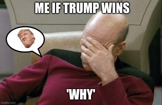 Captain Picard Facepalm | ME IF TRUMP WINS; 'WHY' | image tagged in memes,captain picard facepalm | made w/ Imgflip meme maker