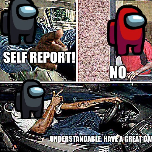 Understandable, have a great day | SELF REPORT! NO | image tagged in understandable have a great day | made w/ Imgflip meme maker