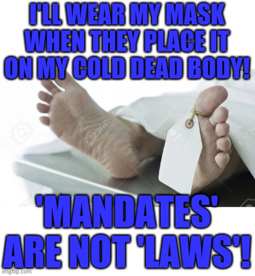Masks mandates are unlawful | I'LL WEAR MY MASK WHEN THEY PLACE IT ON MY COLD DEAD BODY! 'MANDATES' ARE NOT 'LAWS'! | image tagged in masks,face mask,covid-19,paranoid,choices,civil rights | made w/ Imgflip meme maker