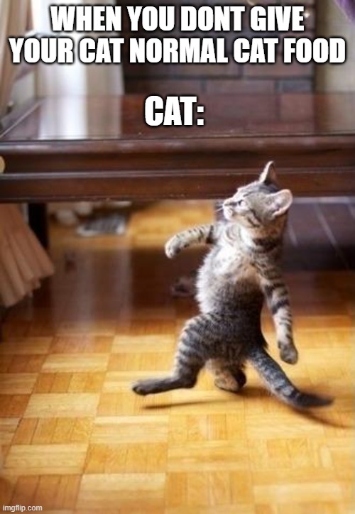 Cool Cat Stroll | CAT:; WHEN YOU DONT GIVE YOUR CAT NORMAL CAT FOOD | image tagged in memes,cool cat stroll | made w/ Imgflip meme maker