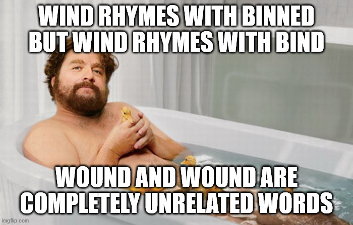 Zach's Shower Thoughts | WIND RHYMES WITH BINNED BUT WIND RHYMES WITH BIND; WOUND AND WOUND ARE COMPLETELY UNRELATED WORDS | image tagged in zach's shower thoughts,memes | made w/ Imgflip meme maker