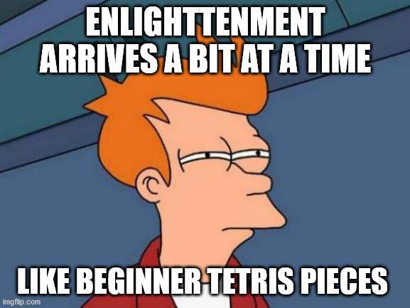 Futurama Fry |  ENLIGHTTENMENT ARRIVES A BIT AT A TIME; LIKE BEGINNER TETRIS PIECES | image tagged in memes,futurama fry | made w/ Imgflip meme maker