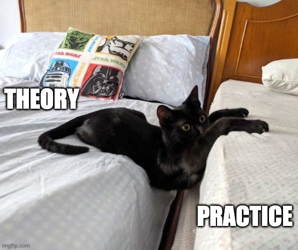 Gap cat | THEORY; PRACTICE | image tagged in gap cat | made w/ Imgflip meme maker