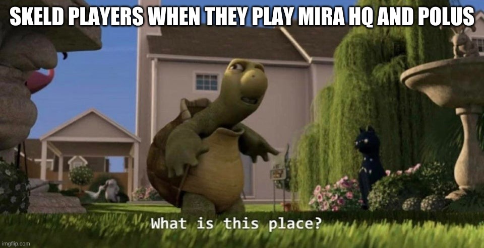 What is this place | SKELD PLAYERS WHEN THEY PLAY MIRA HQ AND POLUS | image tagged in what is this place | made w/ Imgflip meme maker