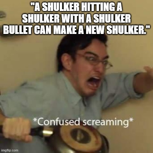 cave update part 1 | "A SHULKER HITTING A SHULKER WITH A SHULKER BULLET CAN MAKE A NEW SHULKER." | image tagged in filthy frank confused scream | made w/ Imgflip meme maker