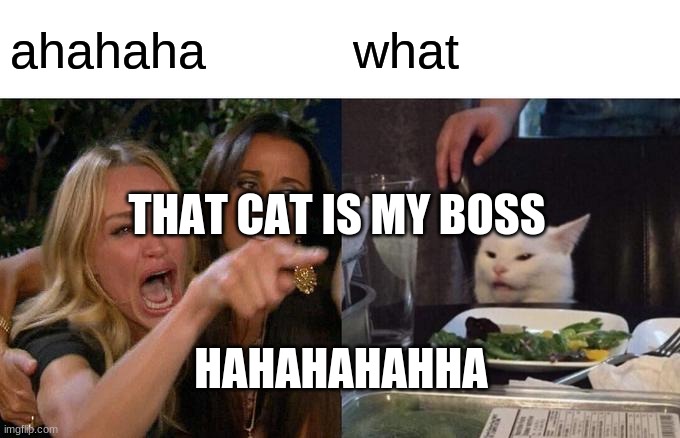 cat boss | ahahaha; what; THAT CAT IS MY BOSS; HAHAHAHAHHA | image tagged in memes,woman yelling at cat | made w/ Imgflip meme maker