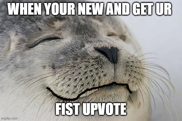 First upvote? | WHEN YOUR NEW AND GET UR; FIST UPVOTE | image tagged in memes,satisfied seal | made w/ Imgflip meme maker