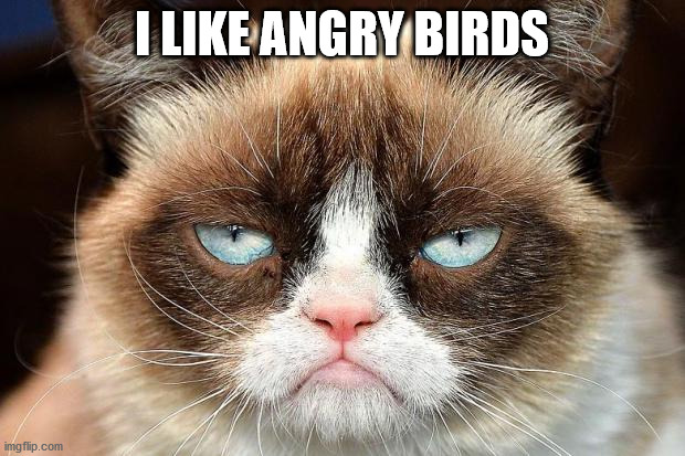 Grumpy Cat Not Amused | I LIKE ANGRY BIRDS | image tagged in memes,grumpy cat not amused,grumpy cat | made w/ Imgflip meme maker