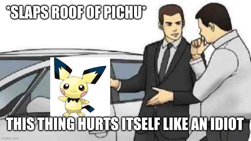 its stupid | *SLAPS ROOF OF PICHU*; THIS THING HURTS ITSELF LIKE AN IDIOT | image tagged in memes,car salesman slaps roof of car | made w/ Imgflip meme maker