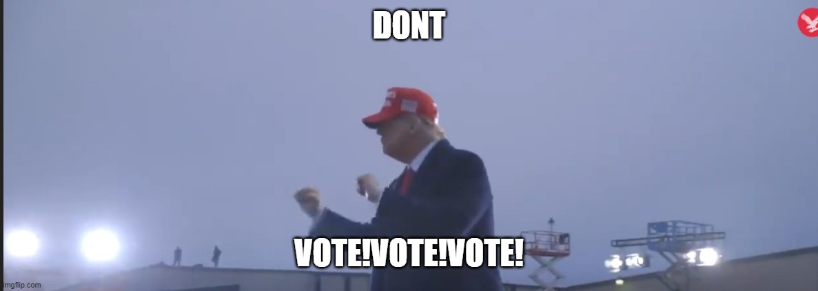 DONT VOTE | DONT; VOTE!VOTE!VOTE! | image tagged in donald trump the clown | made w/ Imgflip meme maker