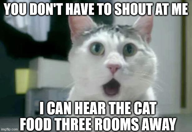 OMG Cat | YOU DON'T HAVE TO SHOUT AT ME; I CAN HEAR THE CAT FOOD THREE ROOMS AWAY | image tagged in memes,omg cat | made w/ Imgflip meme maker