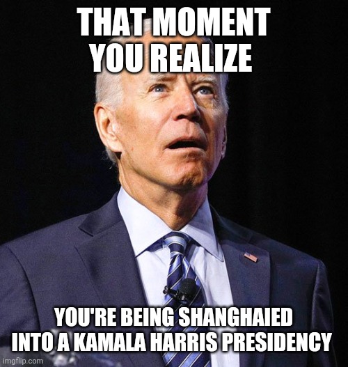 Joe Biden | THAT MOMENT YOU REALIZE; YOU'RE BEING SHANGHAIED INTO A KAMALA HARRIS PRESIDENCY | image tagged in joe biden | made w/ Imgflip meme maker