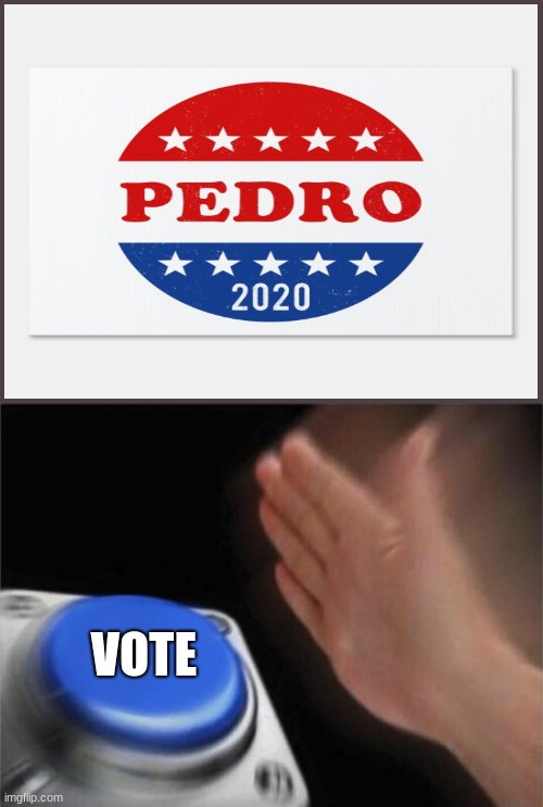 VOTE FOR PADRO | VOTE | image tagged in memes,blank nut button | made w/ Imgflip meme maker