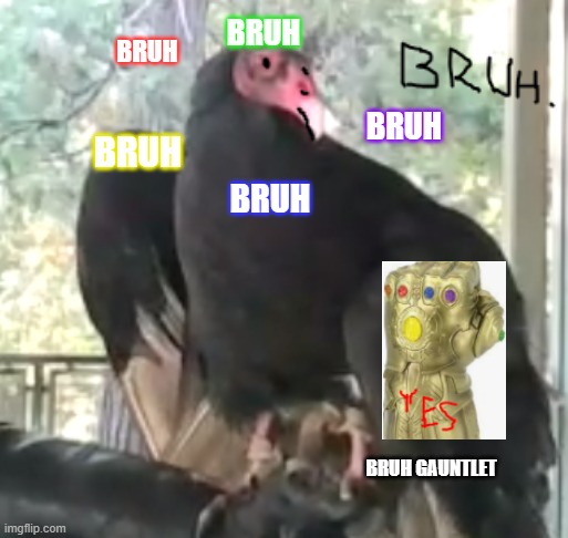 Infinity bruhs | BRUH; BRUH; BRUH; BRUH; BRUH; BRUH GAUNTLET | image tagged in bruh vulture | made w/ Imgflip meme maker