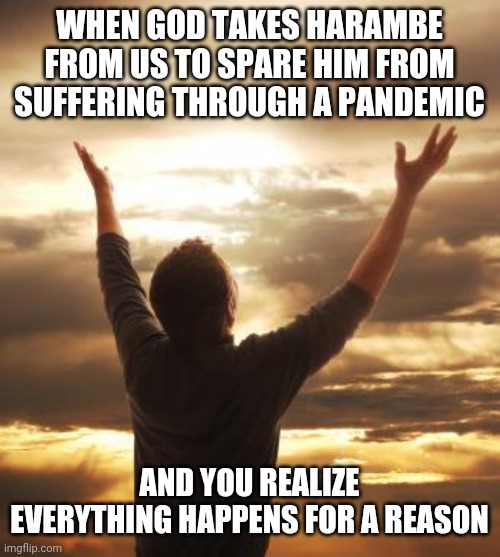 THANK GOD | WHEN GOD TAKES HARAMBE FROM US TO SPARE HIM FROM SUFFERING THROUGH A PANDEMIC; AND YOU REALIZE EVERYTHING HAPPENS FOR A REASON | image tagged in thank god,harambe,pandemic,coronavirus,covid-19 | made w/ Imgflip meme maker