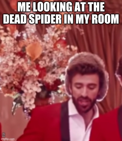 wassup | ME LOOKING AT THE DEAD SPIDER IN MY ROOM; MACARONI AND CHEESE IS FUCKED UP | image tagged in ajr bang casino scene | made w/ Imgflip meme maker