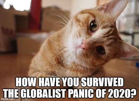 Curious Question Cat | HOW HAVE YOU SURVIVED THE GLOBALIST PANIC OF 2020? | image tagged in curious question cat | made w/ Imgflip meme maker