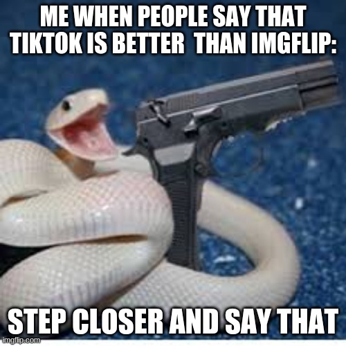 snek | ME WHEN PEOPLE SAY THAT TIKTOK IS BETTER  THAN IMGFLIP:; STEP CLOSER AND SAY THAT | image tagged in snake got gun | made w/ Imgflip meme maker