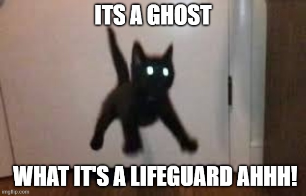 ghost cat | ITS A GHOST; WHAT IT'S A LIFEGUARD AHHH! | image tagged in ghost,cats | made w/ Imgflip meme maker