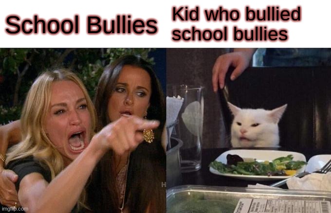 Woman Yelling At Cat | School Bullies; Kid who bullied school bullies | image tagged in memes,woman yelling at cat | made w/ Imgflip meme maker