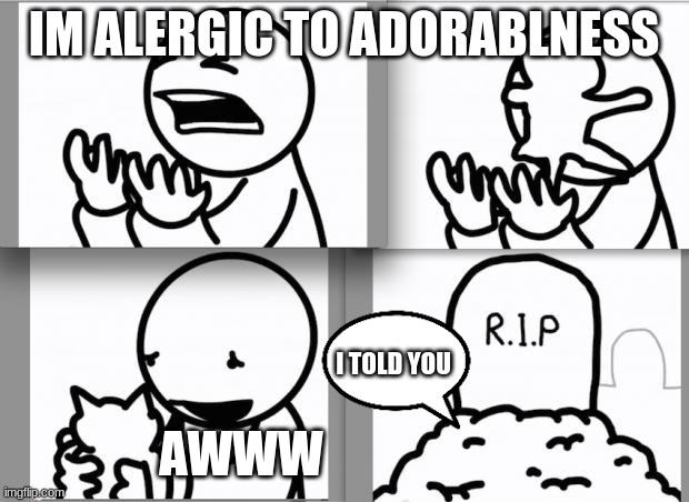 ASDF kitten | IM ALERGIC TO ADORABLNESS; I TOLD YOU; AWWW | image tagged in asdf kitten | made w/ Imgflip meme maker