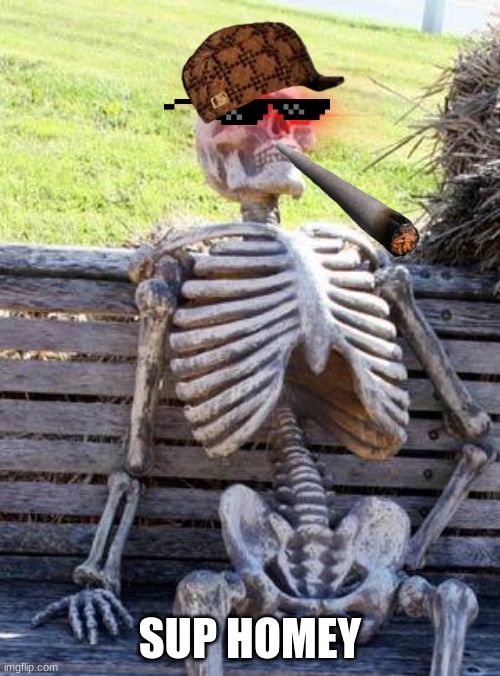 Waiting Skeleton | SUP HOMEY | image tagged in memes,waiting skeleton | made w/ Imgflip meme maker