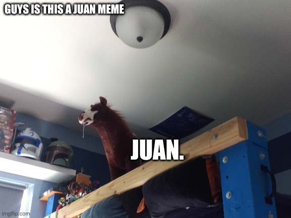 this is my version of the juan meme | GUYS IS THIS A JUAN MEME; JUAN. | image tagged in juan,my version | made w/ Imgflip meme maker