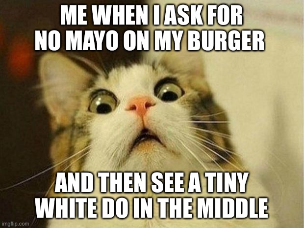 It tru | ME WHEN I ASK FOR NO MAYO ON MY BURGER; AND THEN SEE A TINY WHITE DO IN THE MIDDLE | image tagged in memes,scared cat | made w/ Imgflip meme maker